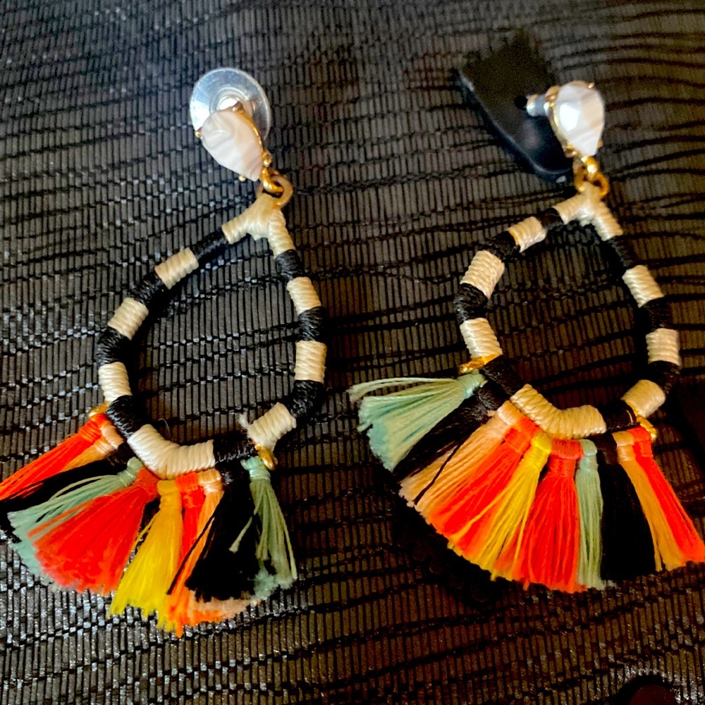 Colorful fringe earrings